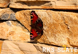 Облицовочный камень RKS SLATE Multi Quartz Strips